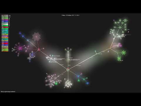 RainLoop/rainloop-webmail - Gource visualisation