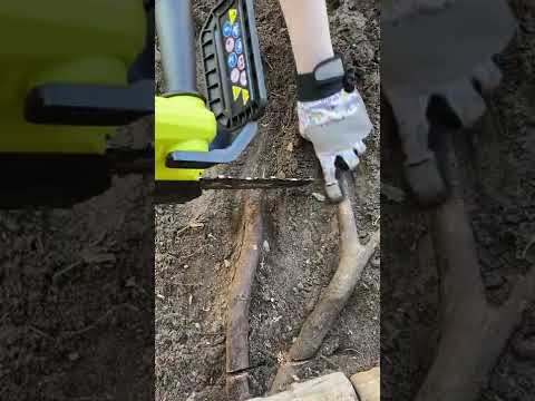 Ryobi ONE+ 18v 8 in. Pruning Chainsaw Cutting Tree Roots! - P5452BTL