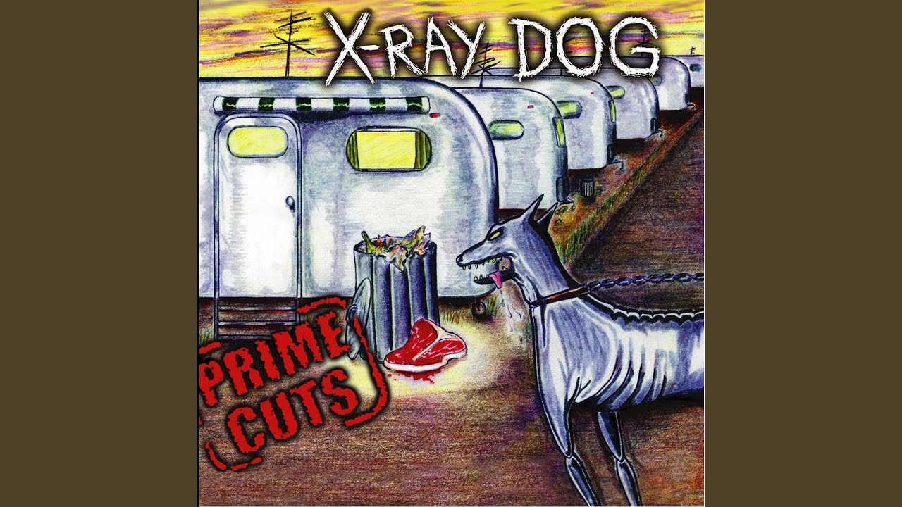 Watch Enigmatic on YouTube Watch Enigmatic on YouTube