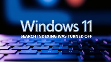 Search Indexing Was Turned Off in Windows 1110 [GUIDE]