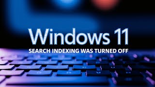 Search Indexing Was Turned Off In Windows 1110 Guide