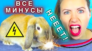 КРОЛИК - ВСЯ ПРАВДА ! УДАР ТОКОМ И СПАСЕНИЕ НЕВОЗМОЖНО | Elli Di Pets