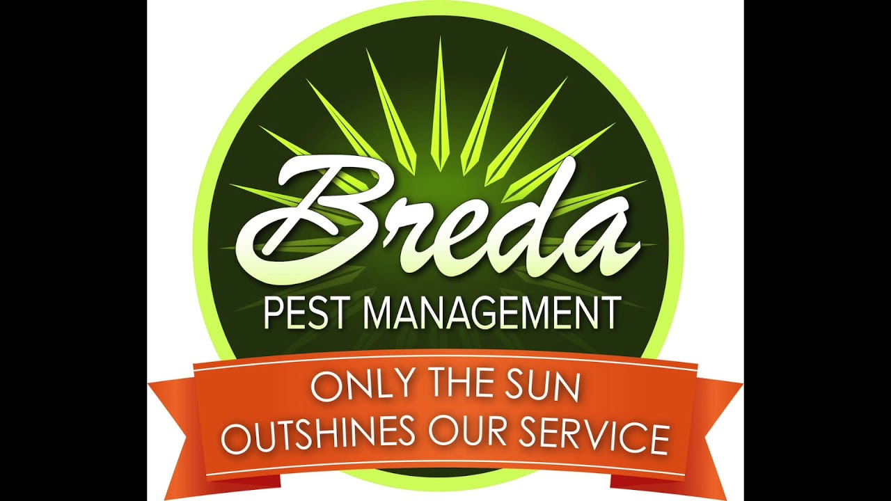 Breda Pest Control Jingle: Mosquitoes