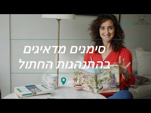 וִידֵאוֹ: בעיות התנהגות אימהיות אצל חתולים נקבות