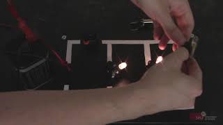 Famous Series and Parallel Bulbs Interactive Lecture Demonstration Profile