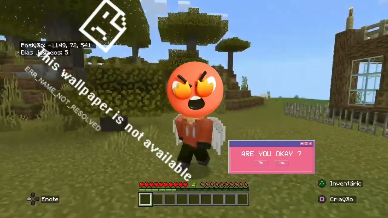 primeiro vídeo