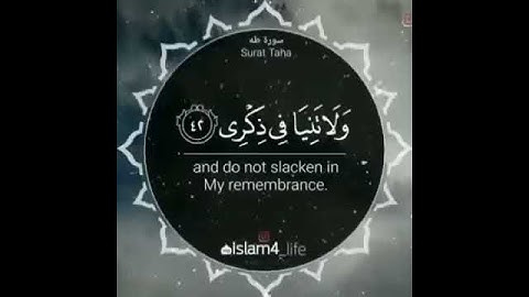 القارئ | أحمد العبيد