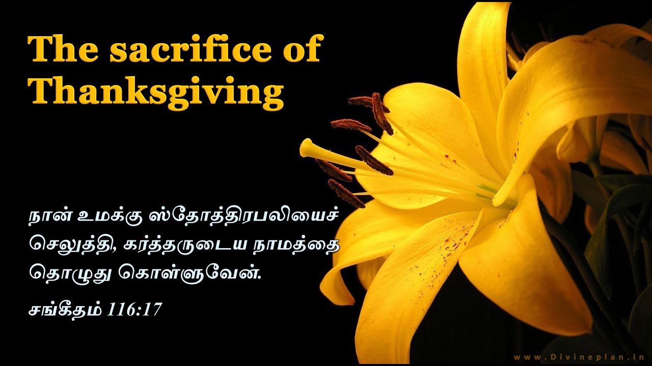 ஸ்தோத்திரபலி | Sacrifice of thanksgiving | New Year 2026
