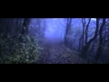 Zombie Infection - The Forest - Sherwood Forest