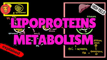 Lipoprotein Metabolism EXPLAINED: LDL, HDL & VLDL Pathways (USMLE High-Yield Beginner’s Guide)