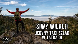 Siwy Wierch - Tatry Zachodnie - Jesień w górach [05.10.2022]