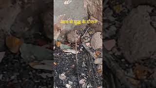 आग से युद्ध के दौरान #haryanafireservice #firefighterlife #firefighter #fireservice