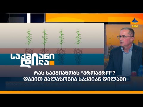 რას საქმიანობს “პროაგრო”? - დავით მალაზონია საქმიან დილაში