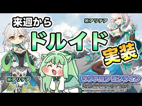来週から🌱ドルイド🌱実装【ラグナロクオンライン】