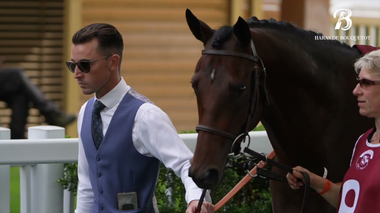SAHLAN . Al Shaqab Racing