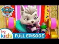 MISSION PAW Pups Save The Royal Throne PAW PATROL Season 4 Full Episodes TVOkids 
