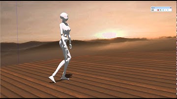 Sketchyphysics 3.3 Real Object Doll