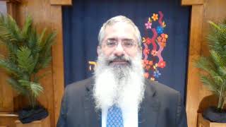 613 Mitzvot Tuesday June 15