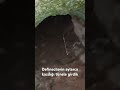 Definecilerin aylarca kazdığı tünel