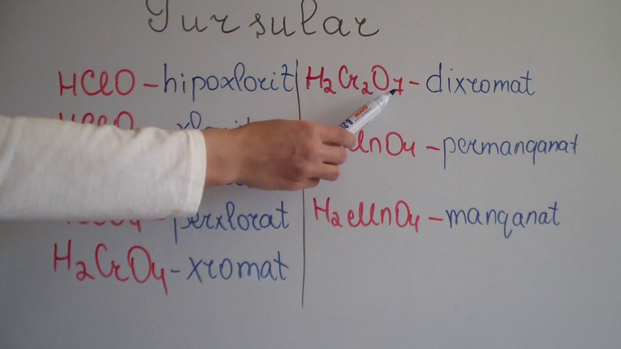 Turşular-adlandırılması, təsnifatı, quruluşu