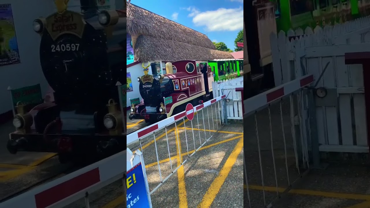 Safari Express Train 