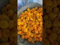 Genda Phool