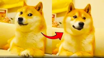 Luma Dream Machine - Image To Video Memes Ai 2024