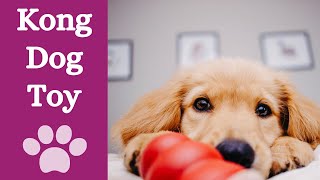 Every dog owner needs this [best dog toy 2023] by Finn Paddy Dog Training 101 views 1 year ago 10 minutes, 10 seconds