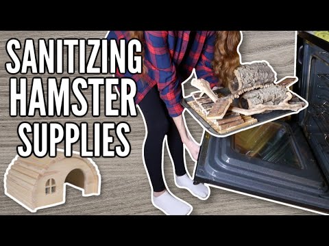 How to SANITIZE hamster supplies!