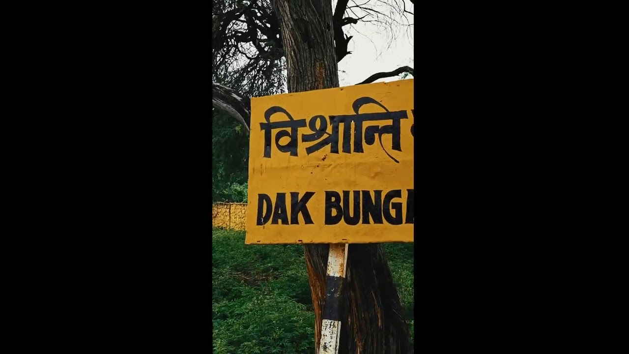 insta reel