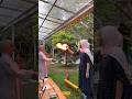 Ramadan Science Experience - Alif Iqra