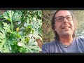 Svelato il mistero del Cetriolo tunisino | Doppi e Diretti 2×6