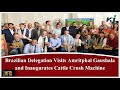 Brazilian delegation visits amritphal gaushala and inaugurates cattle crush machine