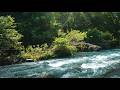 Still River Calm ASMR 🌊 Pure Water Sounds – No Rain No Music for Deep Sleep &amp; Focus