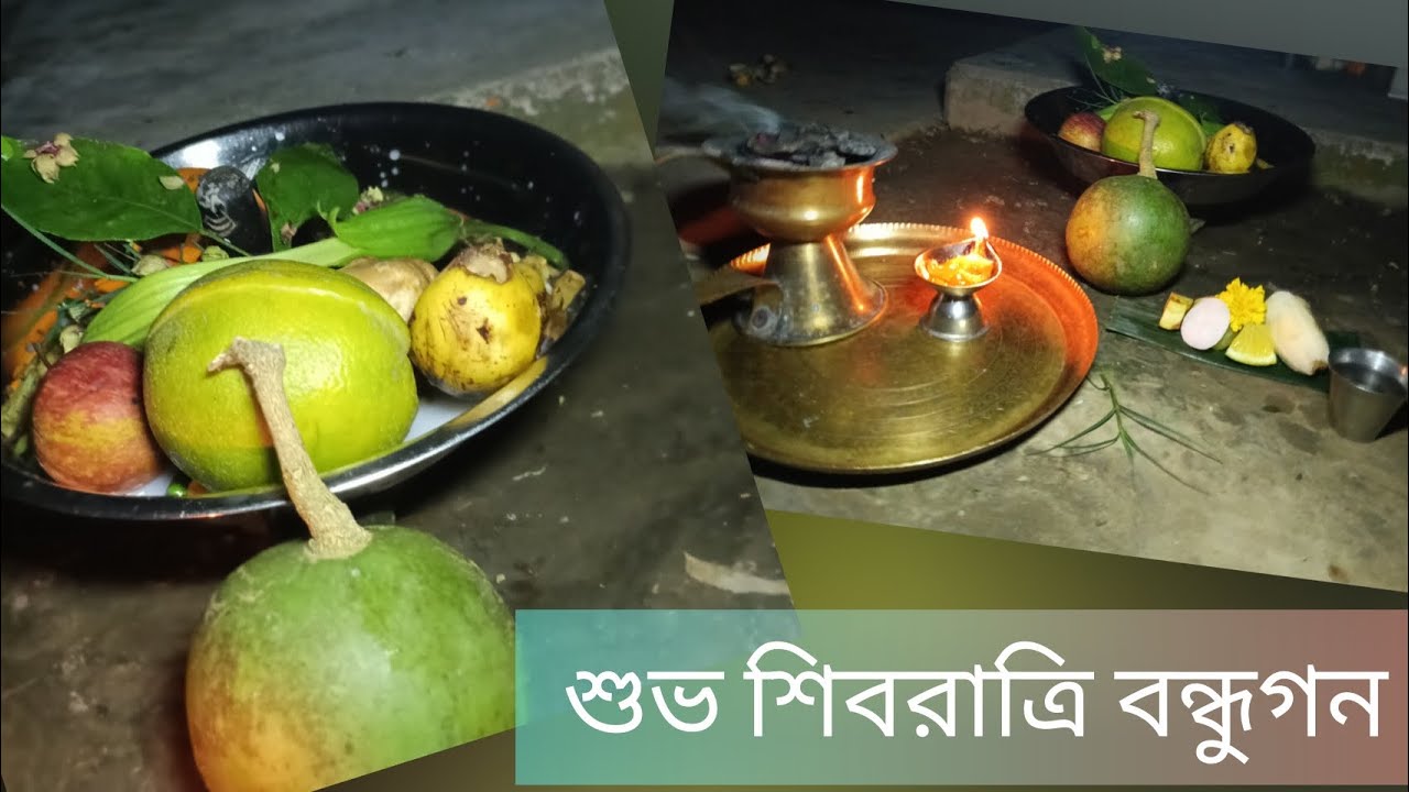 শুভ শিবরাত্রি বন্ধুগন। Happy Shivratri friends. 🙏♨️🧿