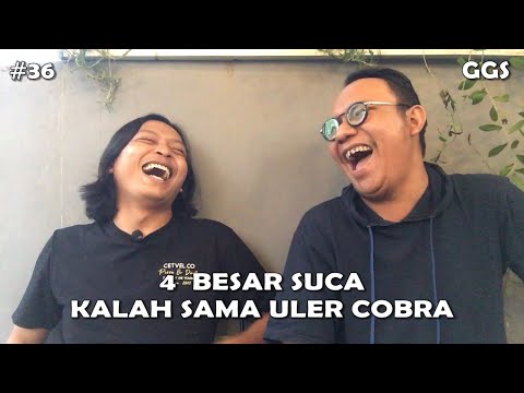 GARA - GARA STAND UP : EGI HAW