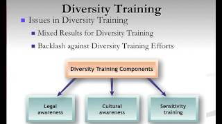 Diversity Management Lecture