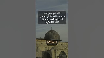 سورة فاطر الآية ٨ و ٩ بصوت الشيخ محمد صديق المنشاوي