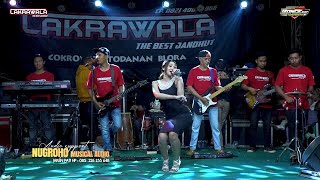 Download Lagu MENT0X B4W4H DIFARINA INDRA Bojo loro Cakrawala M. Keenan Juliansyah Sitimulyo koro MP3