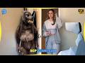 Funniest Scare Cam Reactions 🔥 #52 | Funny Pranks | Jump Scare 😂| SCP Scare Cam