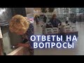 Я, Лара Володина, делаю все, что могу.  И даже больше того! Пожалуйста, не мешайте спасению!