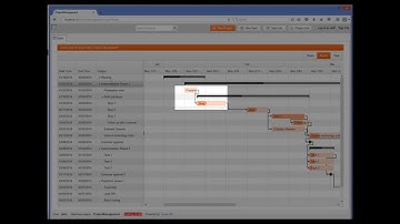 Gantt Charts in Aware IM
