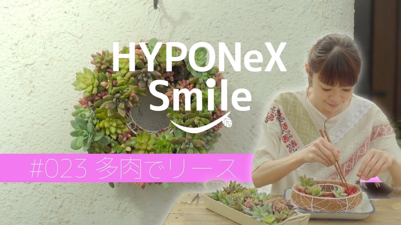 ヤシャブシ特大 25個　リース　アレンジ 🌱023: How to make a wreath using succulents (What message does