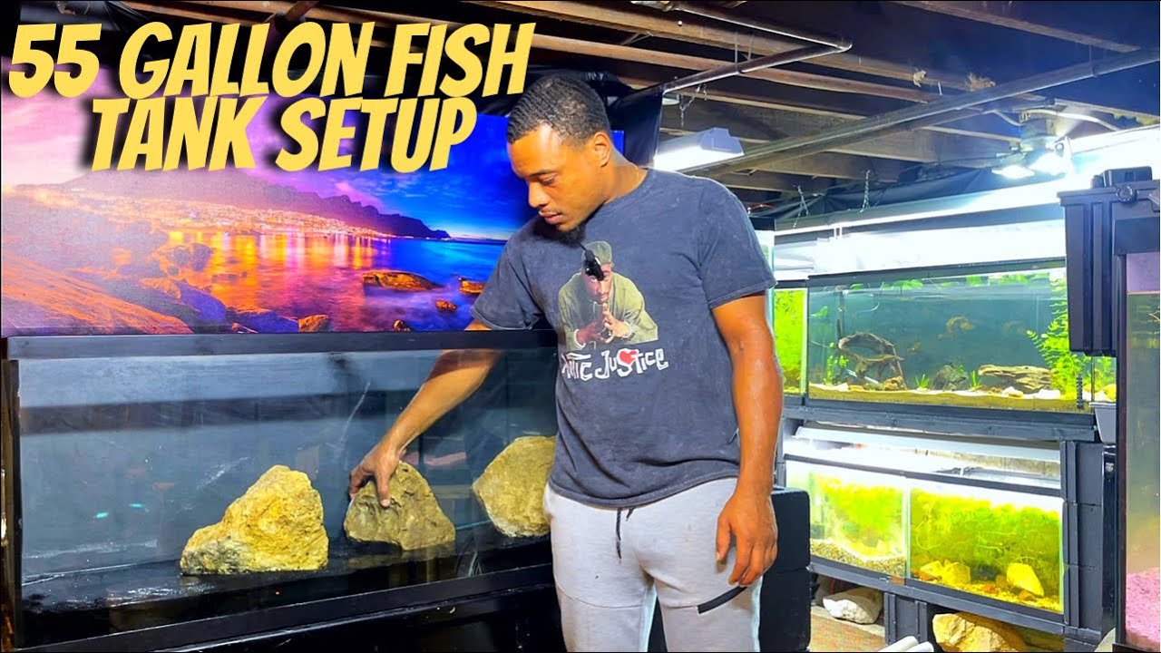 NEW 55 GALLON FISH TANK SETUP