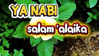 Heart-touching and tear-jerking.. MAHALLUL QIYAM || Ya Nabi Salam 'Alaika, the most moving versio...
