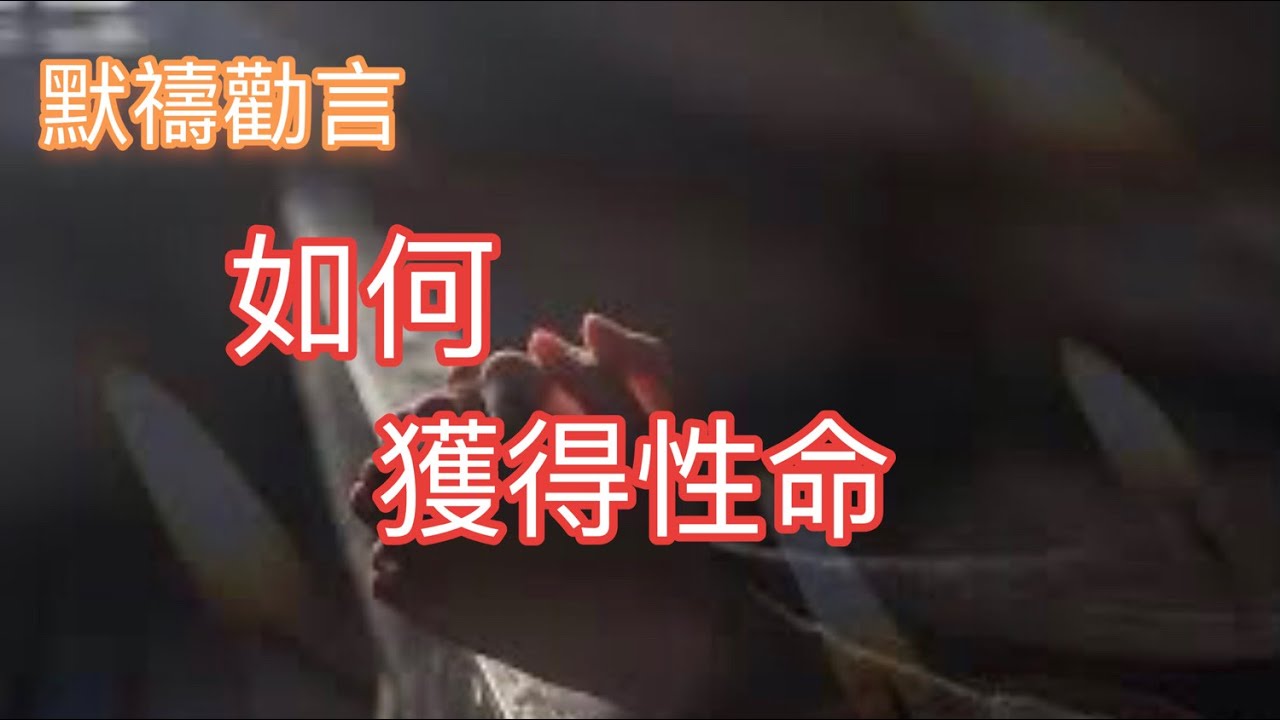 默祷劝言(如何获得性命) 天赐神父 5/20/23 - YouTube