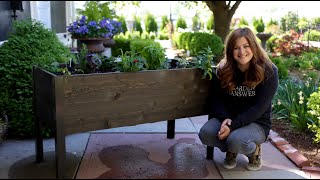 Raised Bed Cocktail Garden! πΏπΈπ// Garden Answer Raised Bed Cocktail Garden! πΏπΈπ// Garden Answer