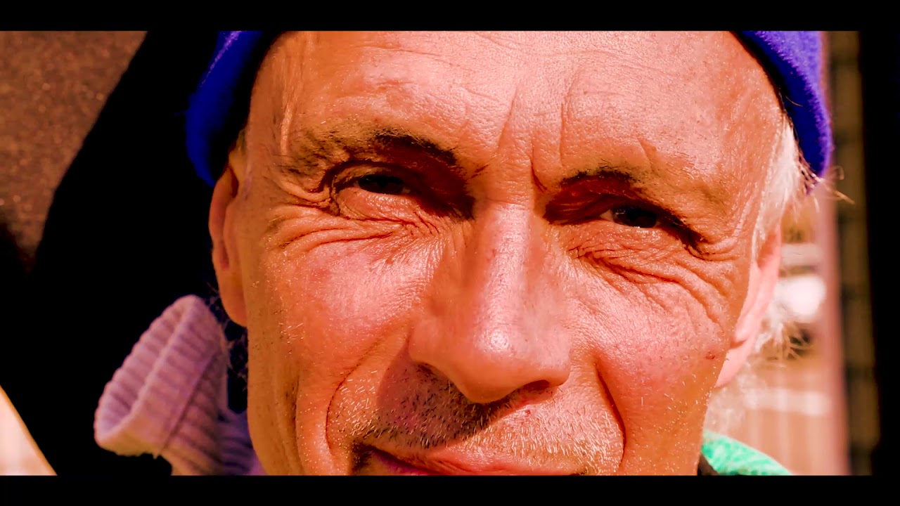 Under the city of trees promo