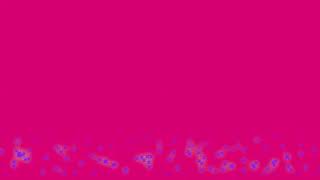 Animated Background Bubbles stars Abstract Color Patterns Free No Copyrights Download