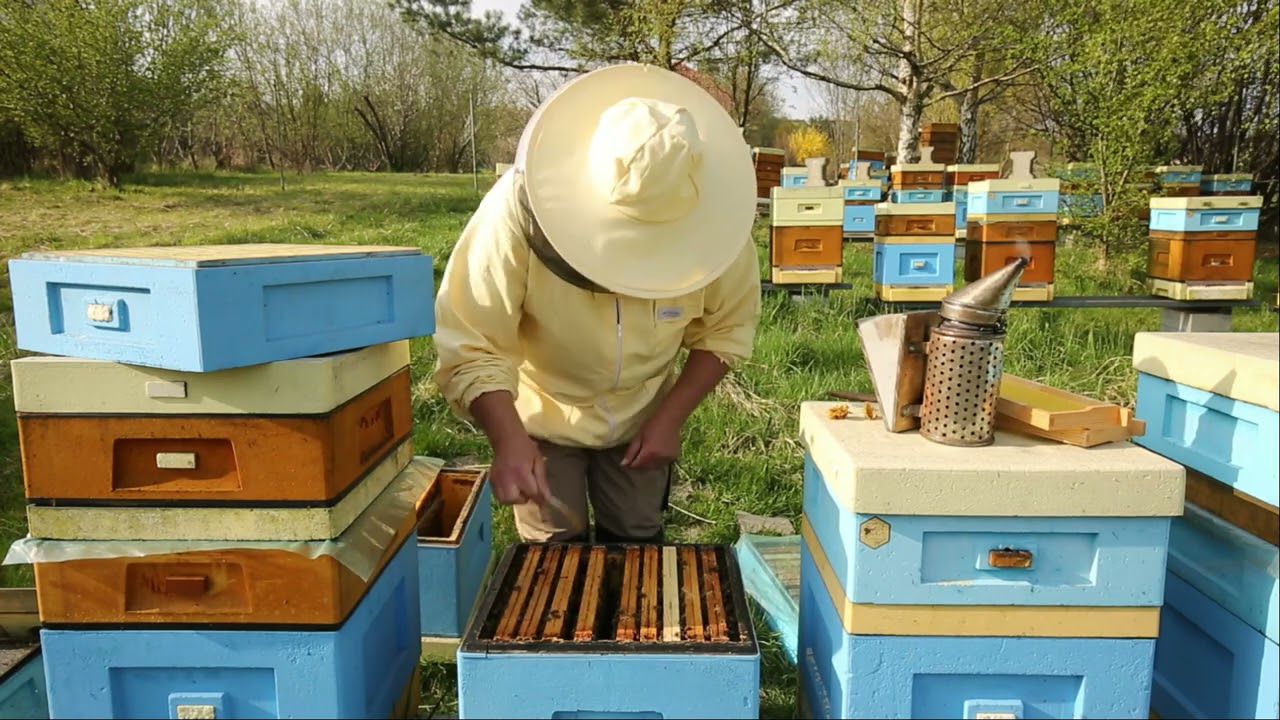 ABC pasieki cz.6 - jak zakładać miodnie gdy nie mamy suszu, czas na folię w pasiece